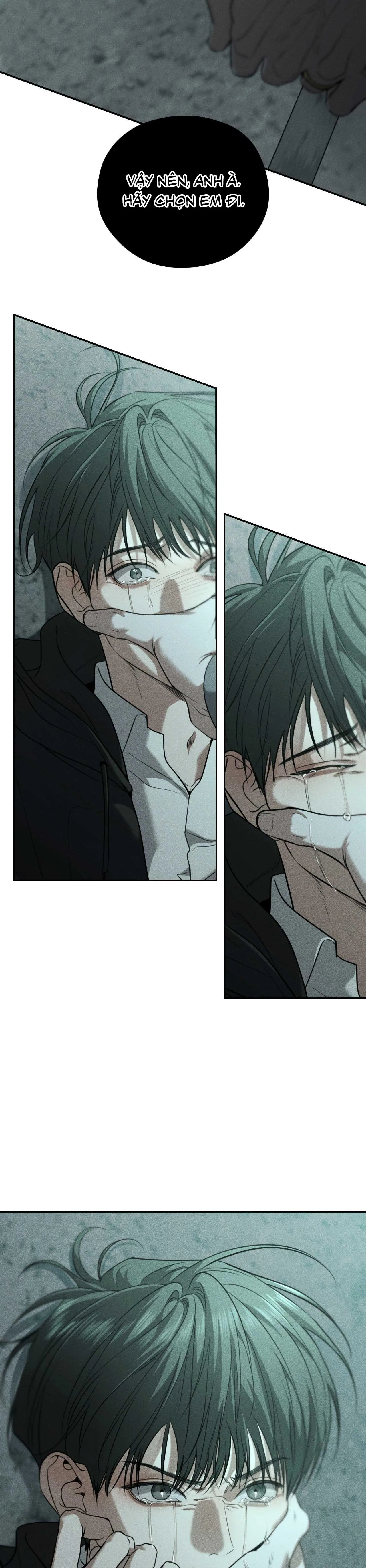 DEAR, TEDDY BEAR Chapter 49 Trang 4