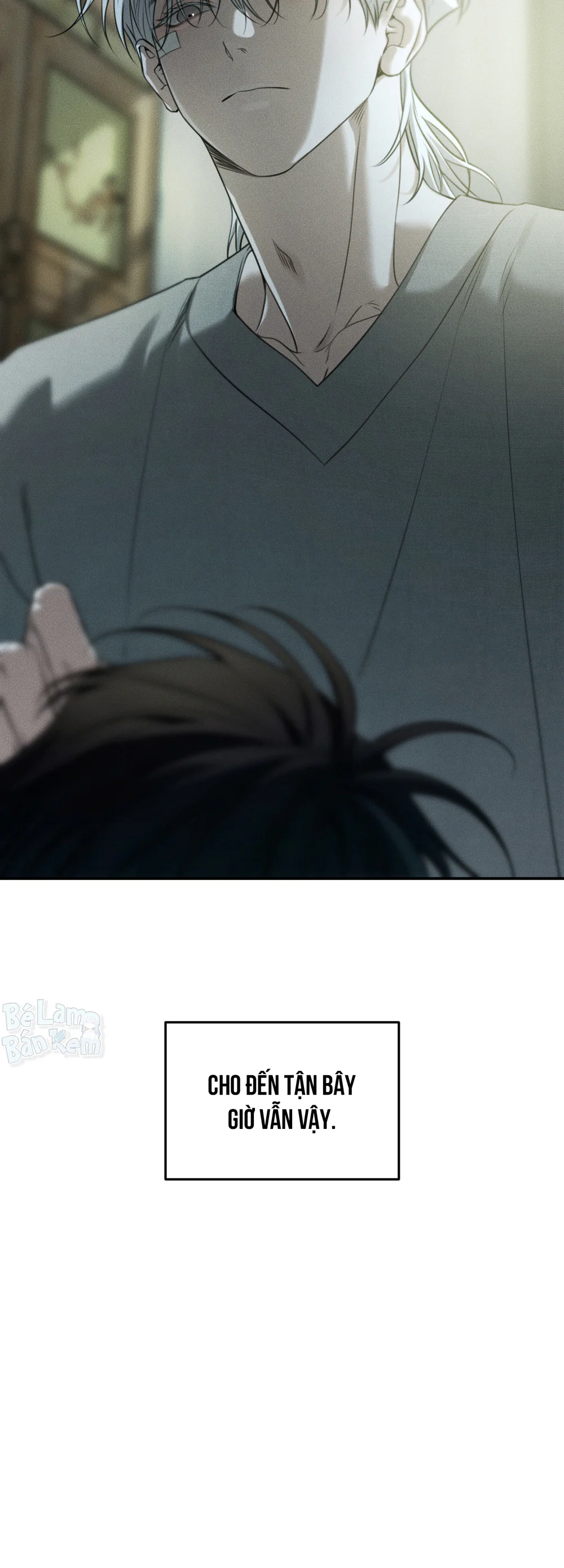 DEAR, TEDDY BEAR Chapter 51 Trang 81