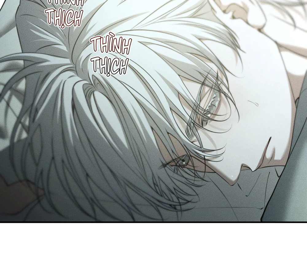 DEAR, TEDDY BEAR Chapter 52 Trang 12