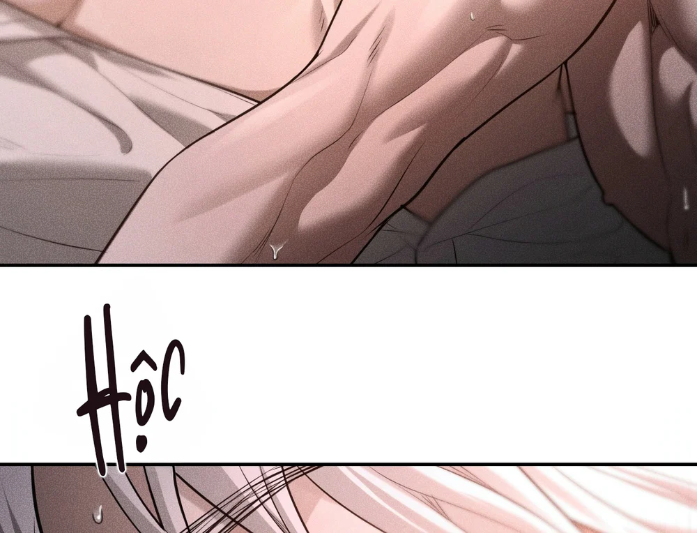 DEAR, TEDDY BEAR Chapter 53 Trang 14