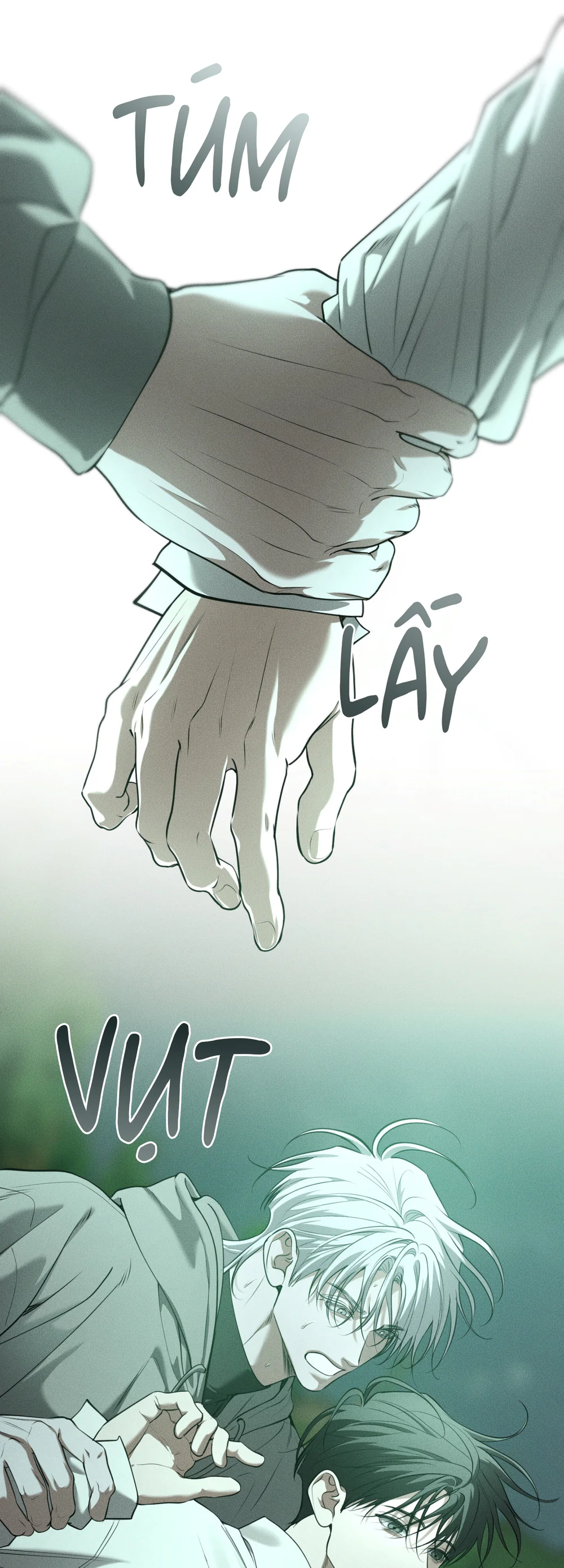 DEAR, TEDDY BEAR Chapter 61 Trang 11