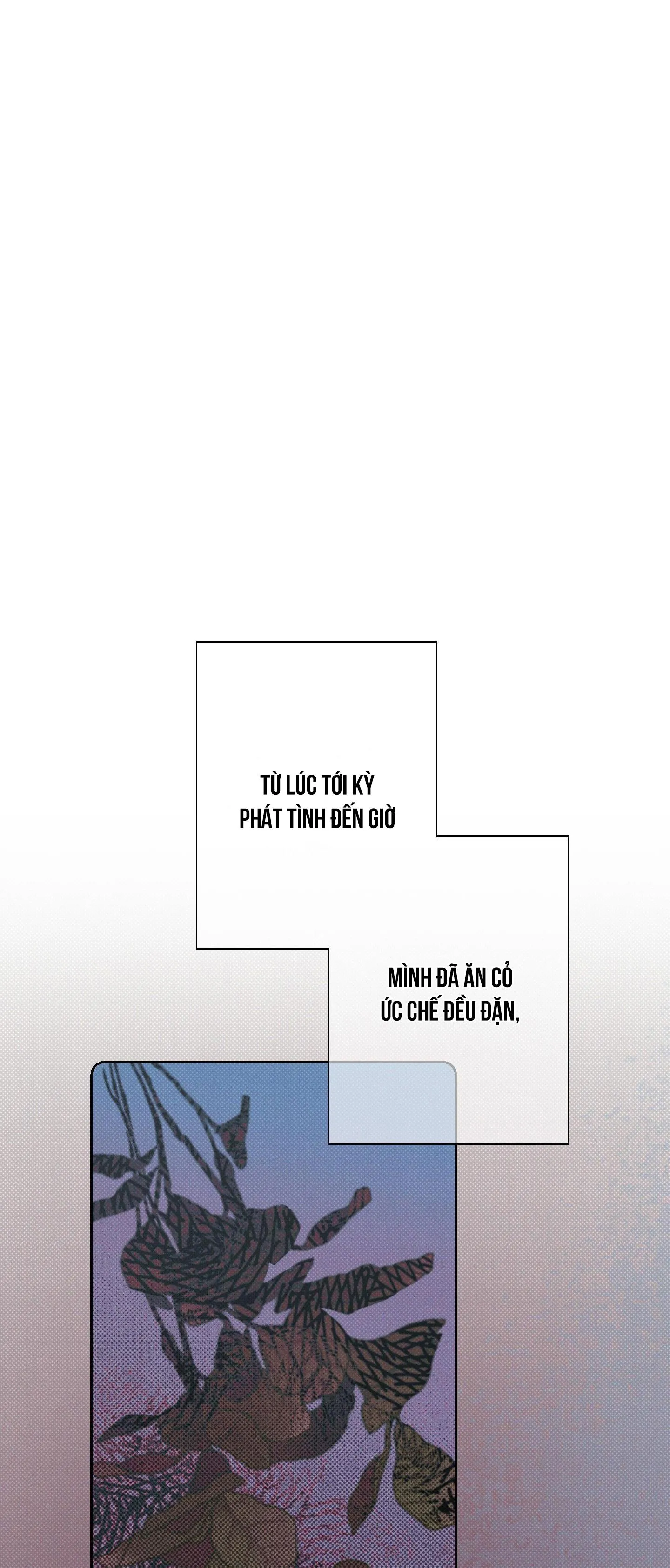 December Chapter 13 Trang 4