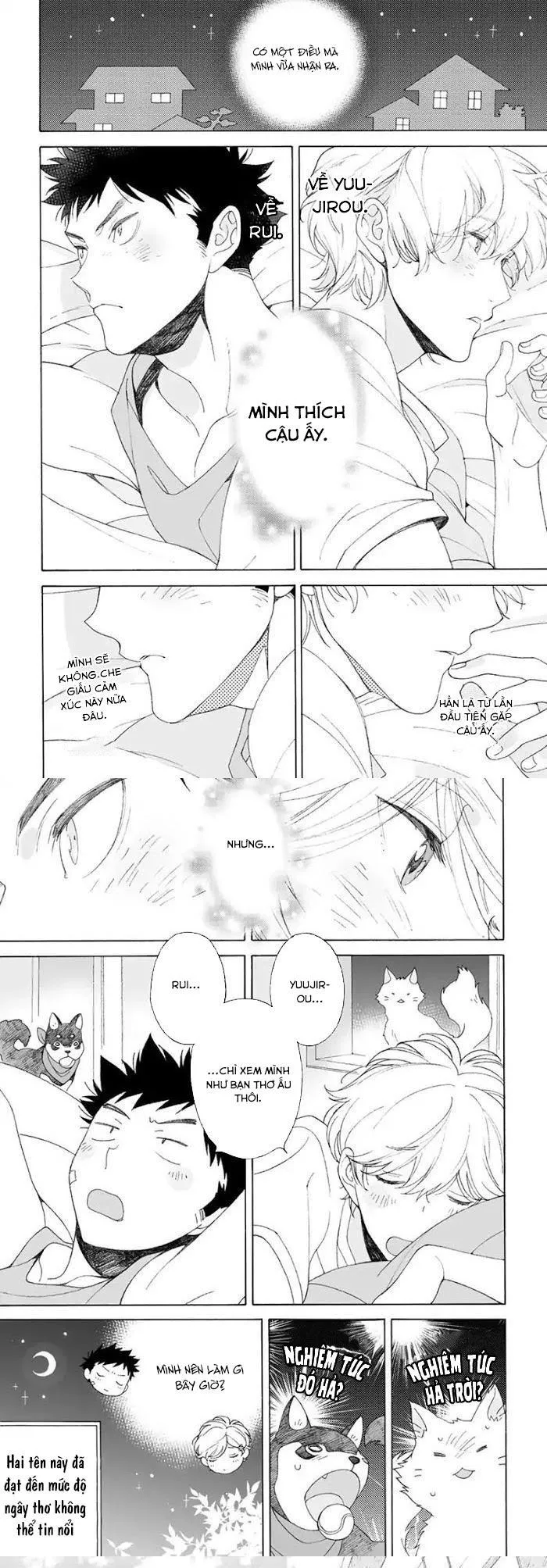 Dekoboko Sugar Days Chapter 4 Trang 3