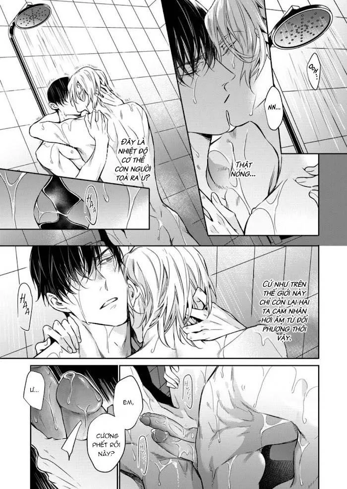 Đêm Của Chó Hoang Chapter 5 Trang 7