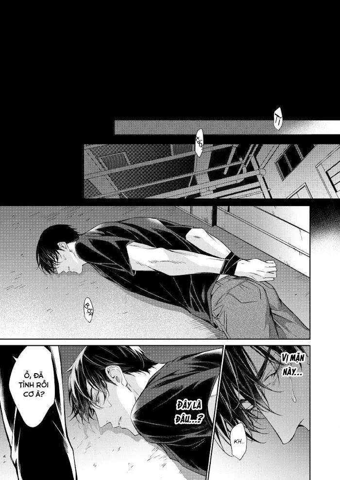 Đêm Của Chó Hoang Chapter 7 Trang 8