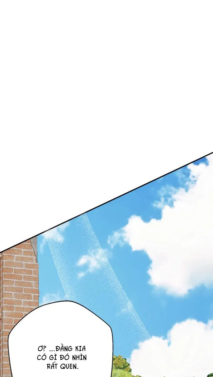 ĐÊM CỦA NGƯỜI ĐÀN ÔNG ẤY Chapter 8 Trang 53