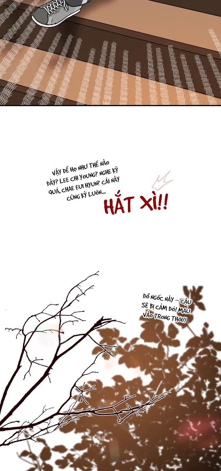 ĐÊM CỦA NGƯỜI ĐÀN ÔNG ẤY Chapter 13 Trang 46