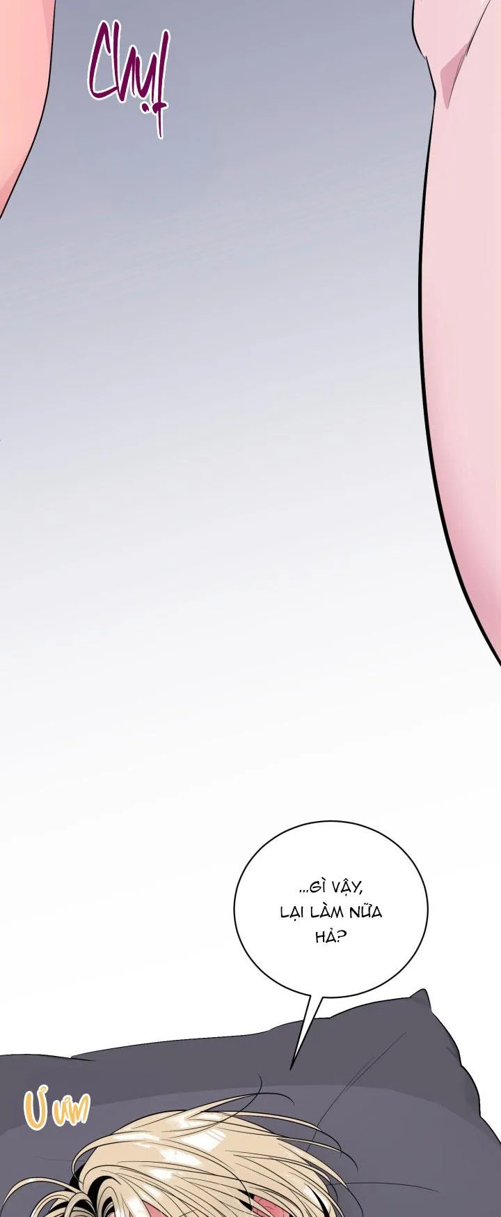 ĐÊM CỦA NGƯỜI ĐÀN ÔNG ẤY Chapter 20 Trang 60