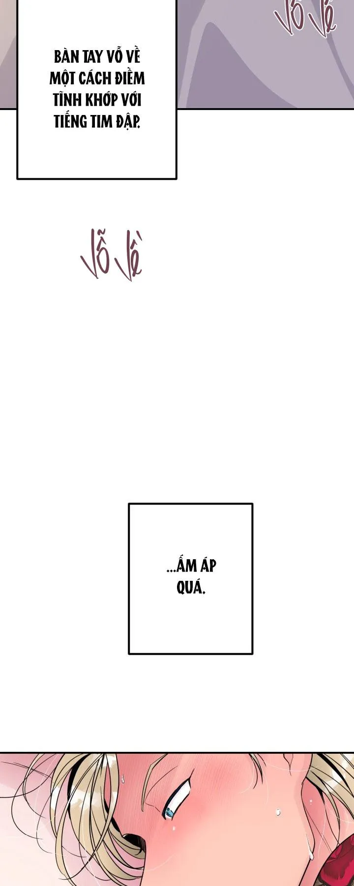 ĐÊM CỦA NGƯỜI ĐÀN ÔNG ẤY Chapter 22 Trang 50