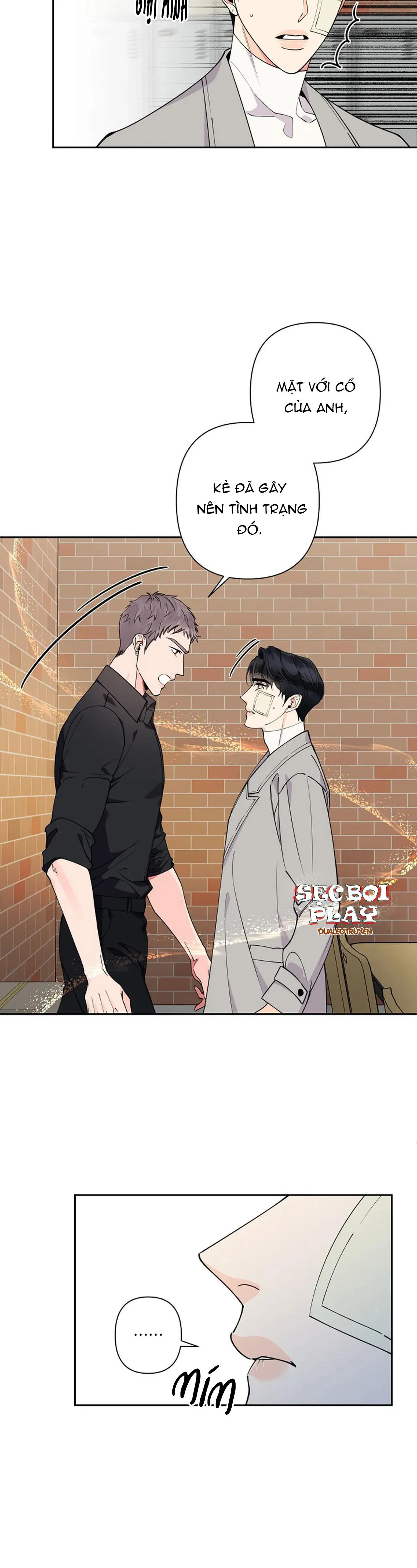 ĐÊM DỊU DÀNG Chapter 12 Trang 5