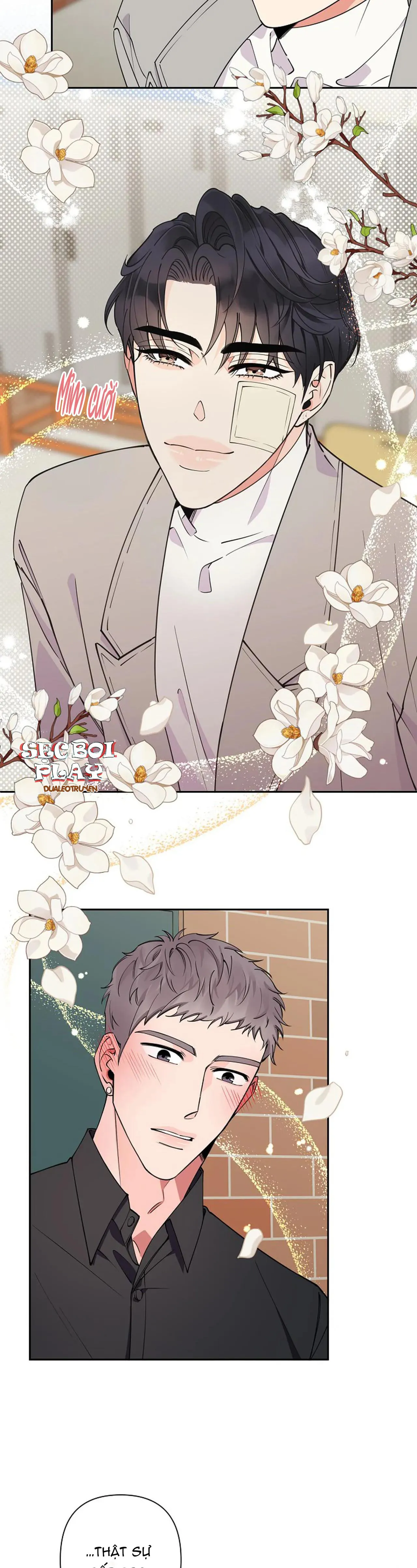 ĐÊM DỊU DÀNG Chapter 12 Trang 14