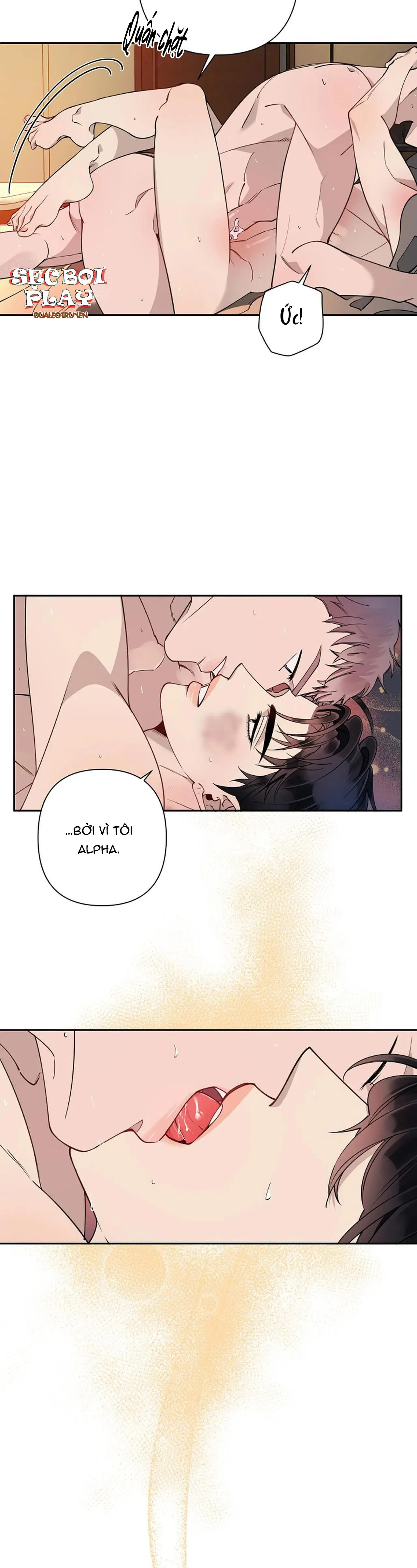 ĐÊM DỊU DÀNG Chapter 14 Trang 5