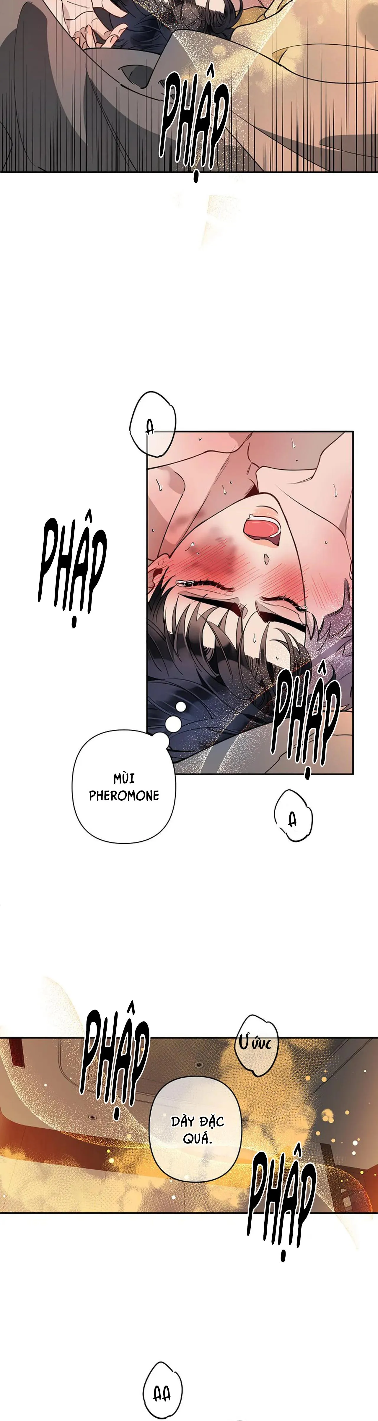 ĐÊM DỊU DÀNG Chapter 14 Trang 14