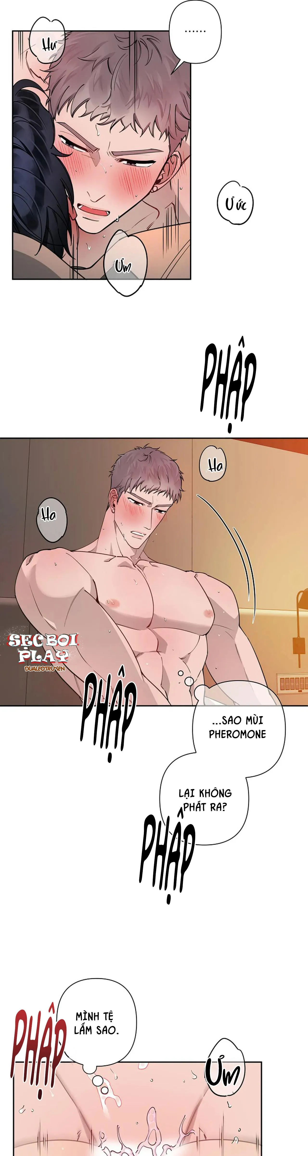 ĐÊM DỊU DÀNG Chapter 14 Trang 15