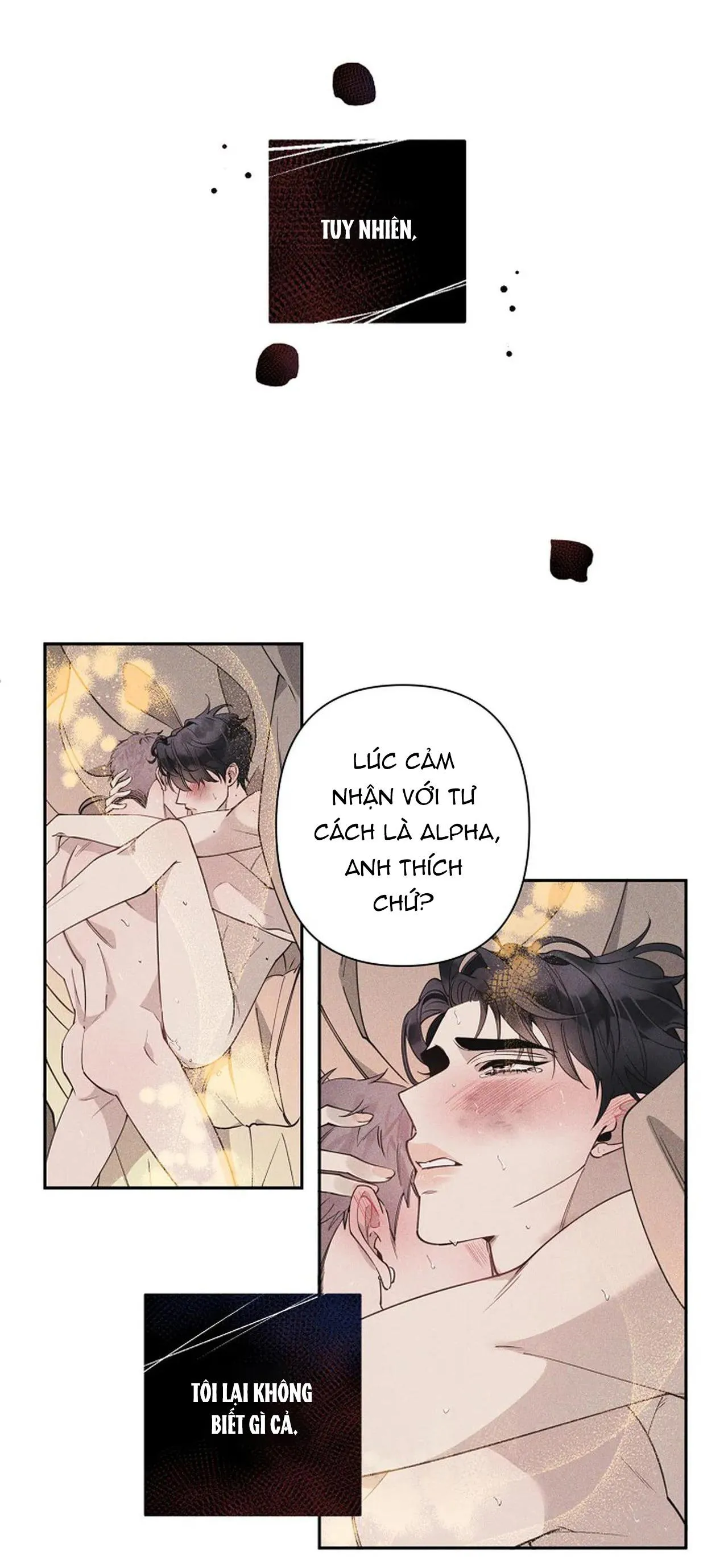 ĐÊM DỊU DÀNG Chapter 16 Trang 19