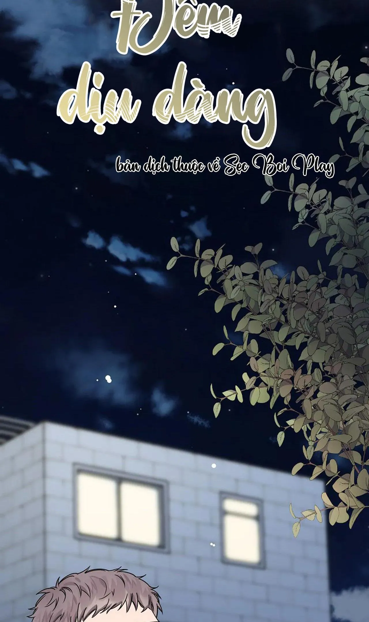 ĐÊM DỊU DÀNG Chapter 17 Trang 8