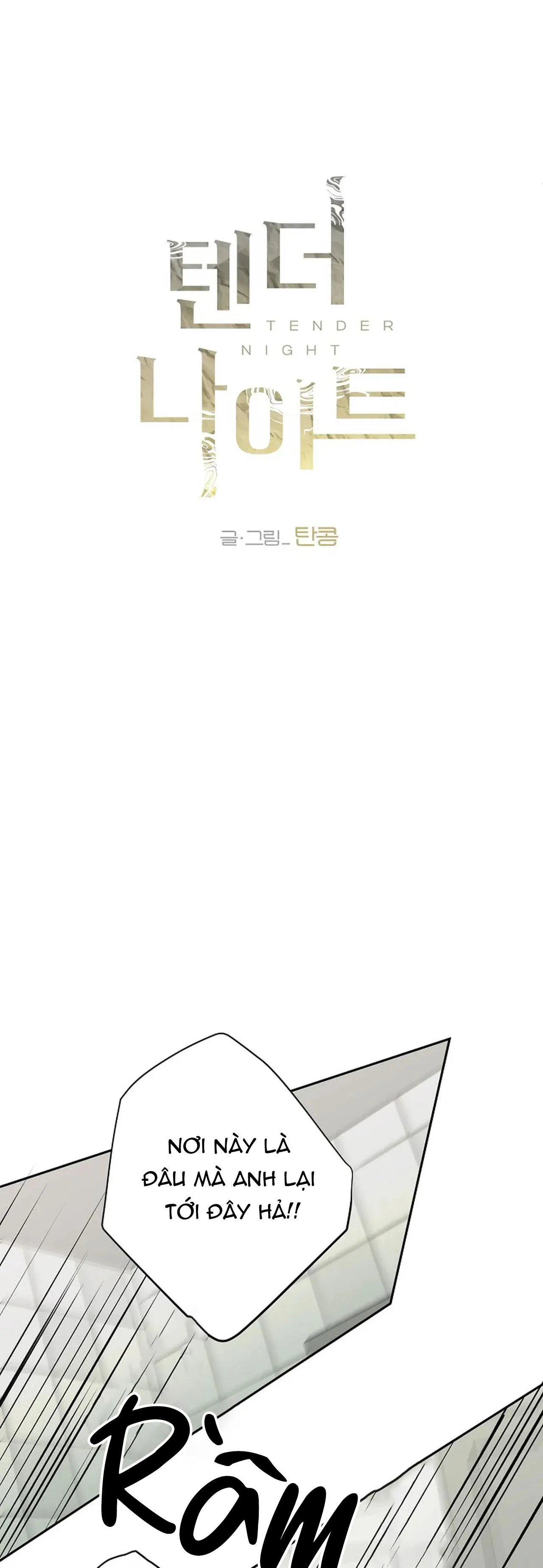 ĐÊM DỊU DÀNG Chapter 27 Trang 8