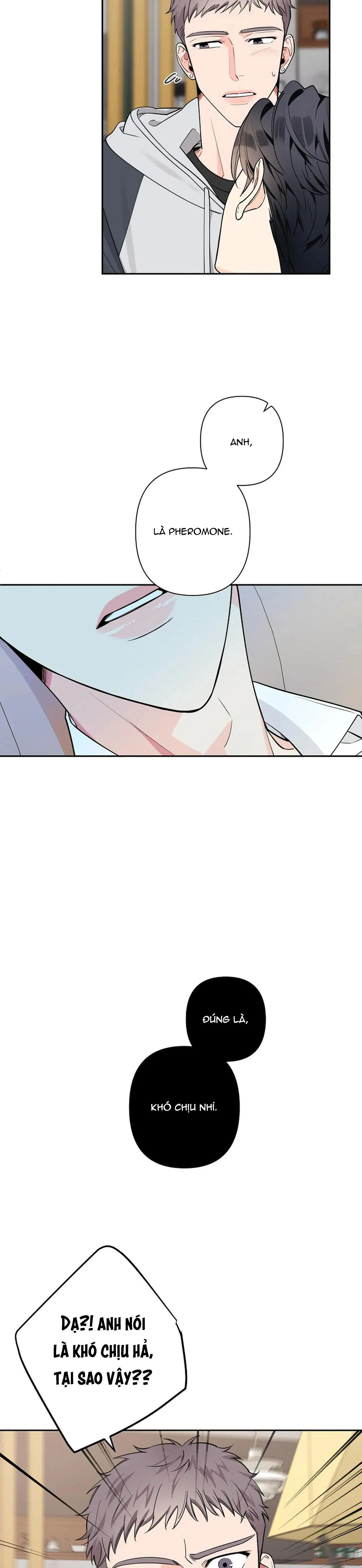 ĐÊM DỊU DÀNG Chapter 31 Trang 12