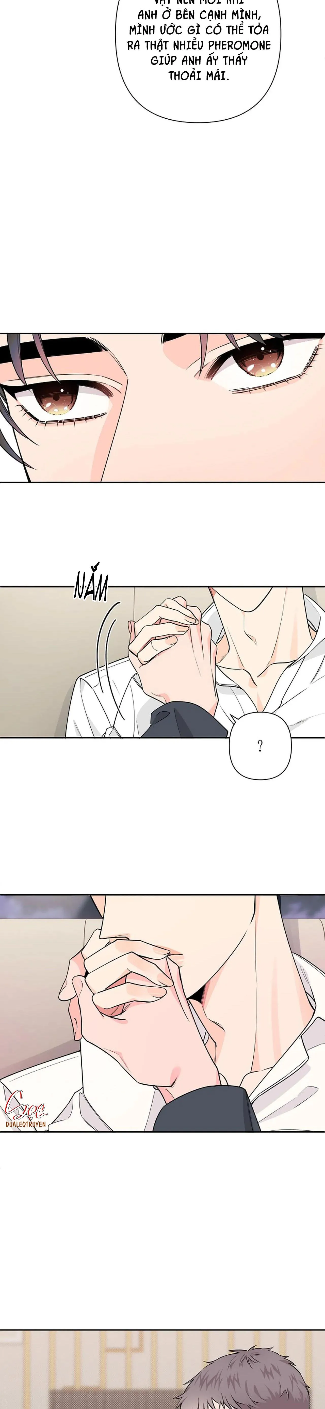 ĐÊM DỊU DÀNG Chapter 31 Trang 15