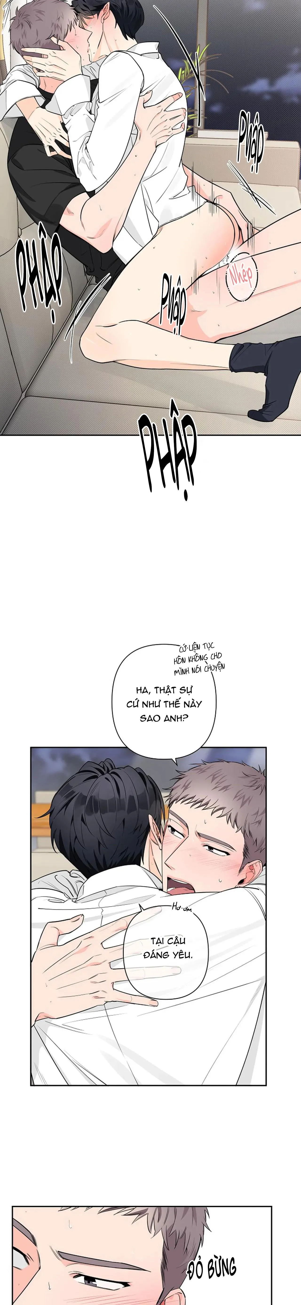 ĐÊM DỊU DÀNG Chapter 31 Trang 23