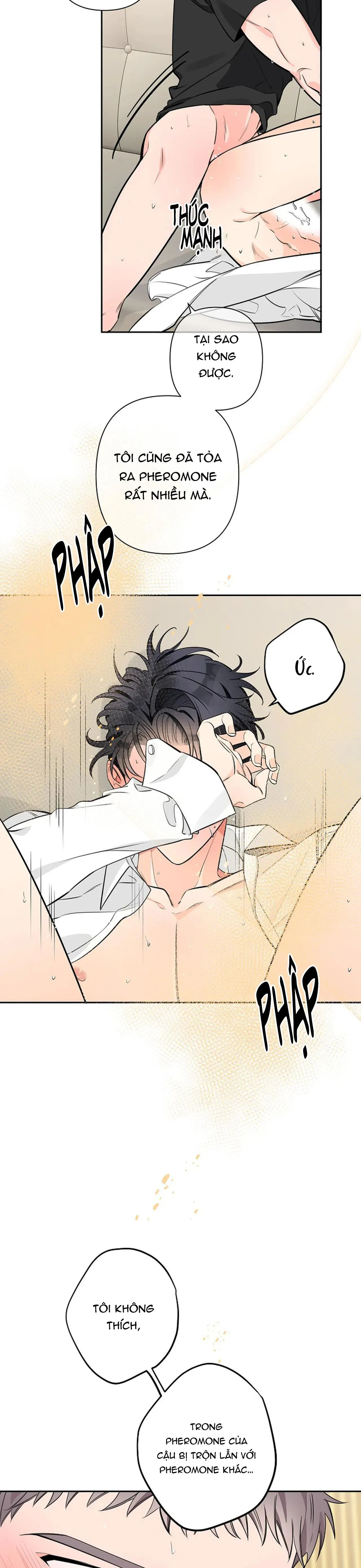 ĐÊM DỊU DÀNG Chapter 31 Trang 29