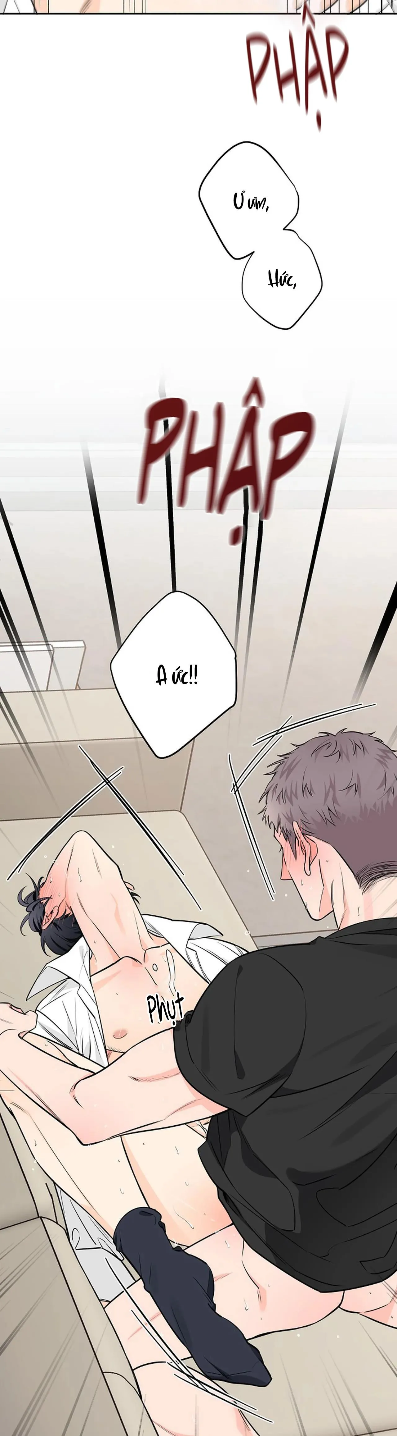 ĐÊM DỊU DÀNG Chapter 31 Trang 31