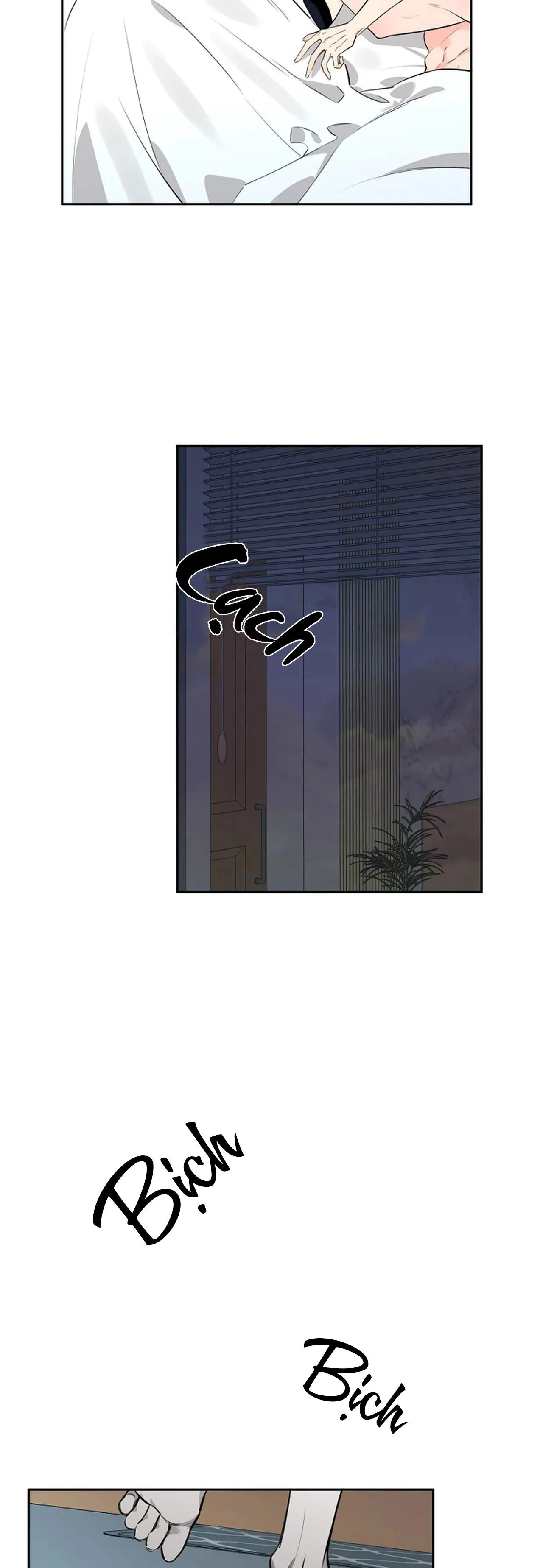 ĐÊM DỊU DÀNG Chapter 32 Trang 6