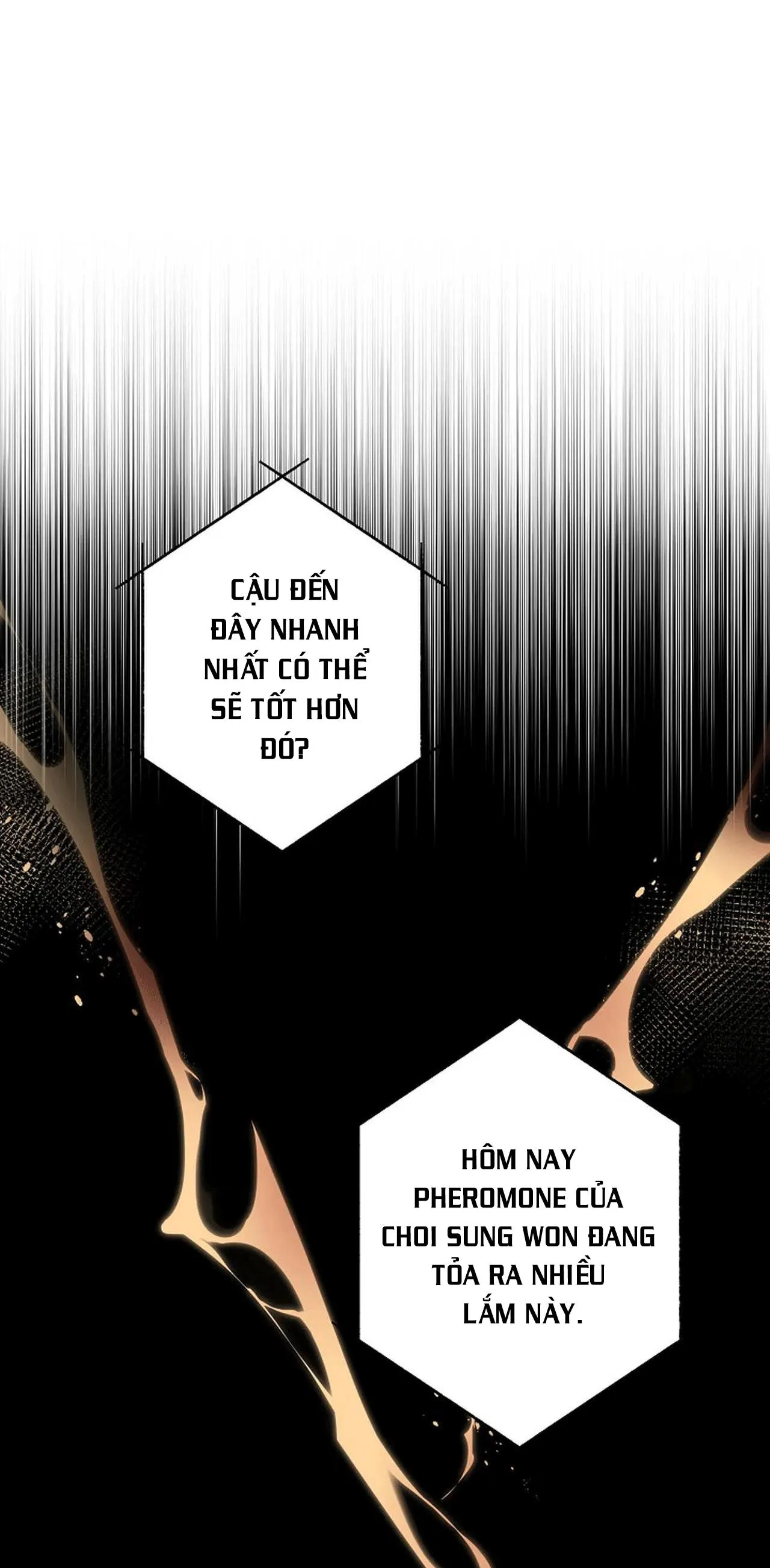 ĐÊM DỊU DÀNG Chapter 36 Trang 8