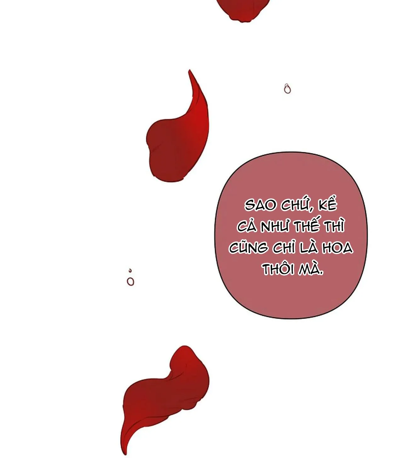 ĐÊM DỊU DÀNG Chapter 36 Trang 42