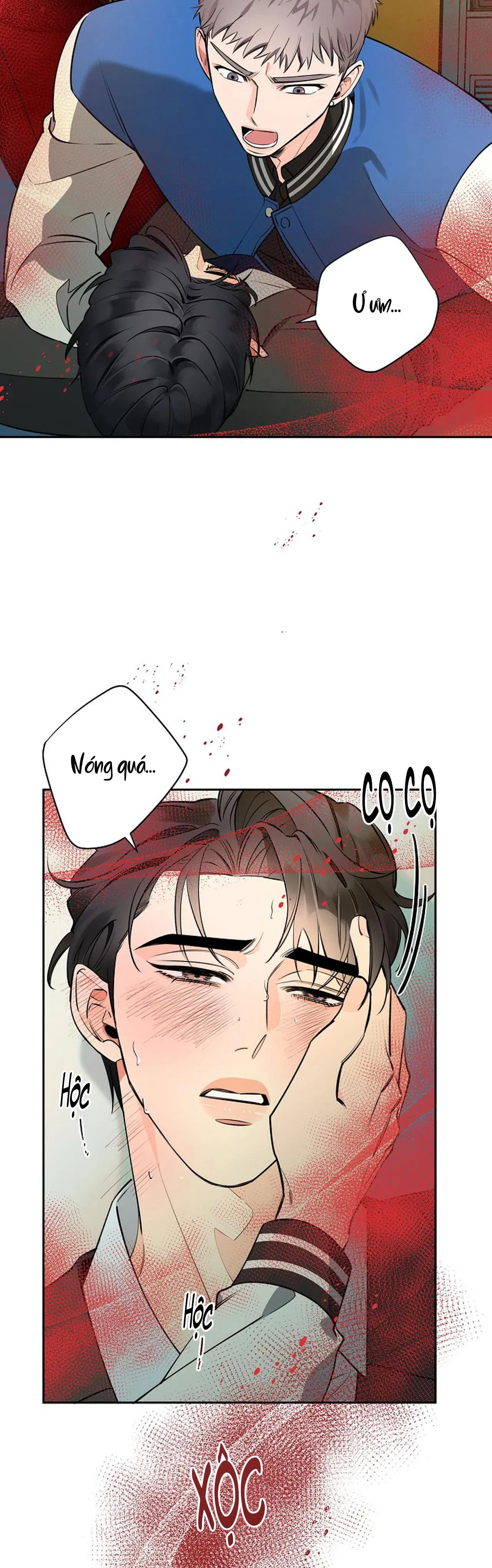 ĐÊM DỊU DÀNG Chapter 37 Trang 5