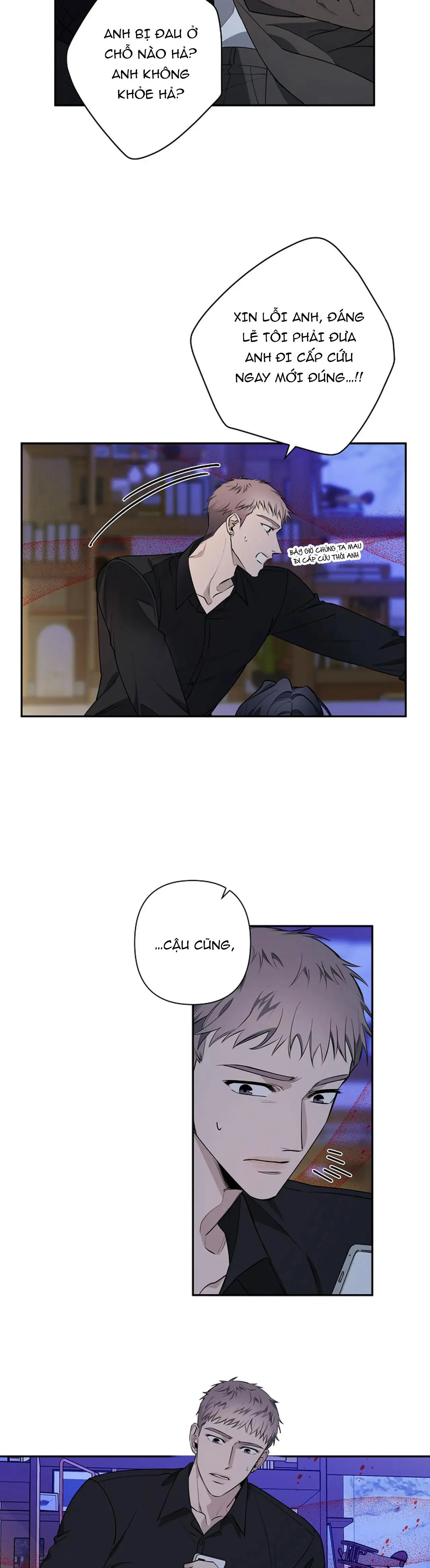 ĐÊM DỊU DÀNG Chapter 38 Trang 12