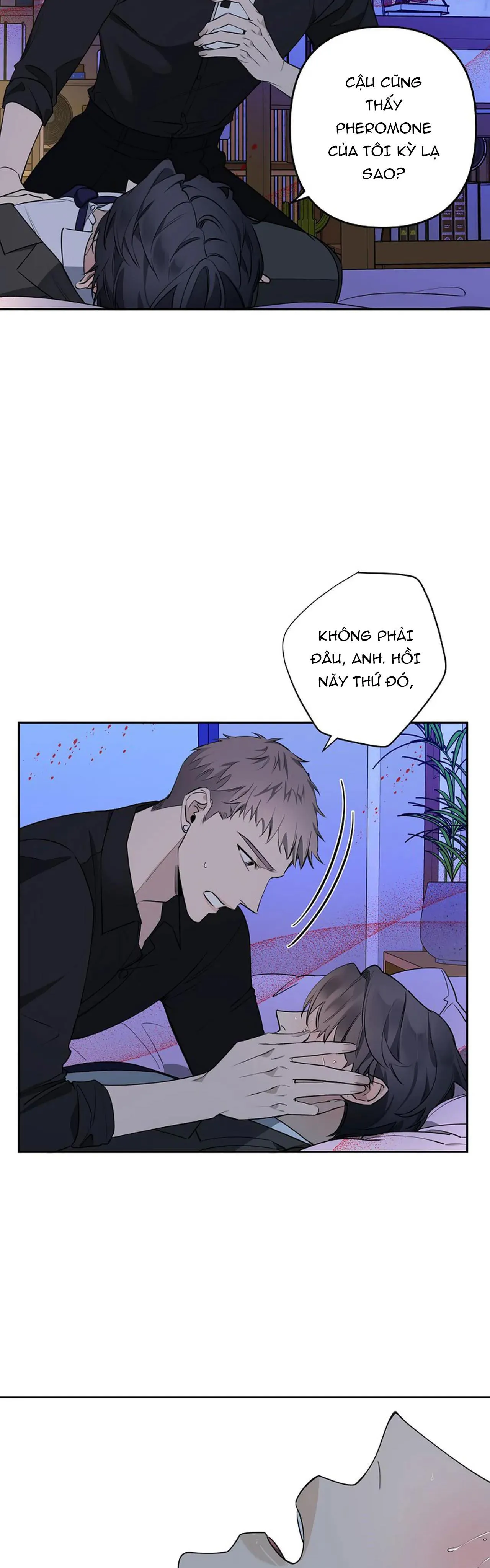 ĐÊM DỊU DÀNG Chapter 38 Trang 13