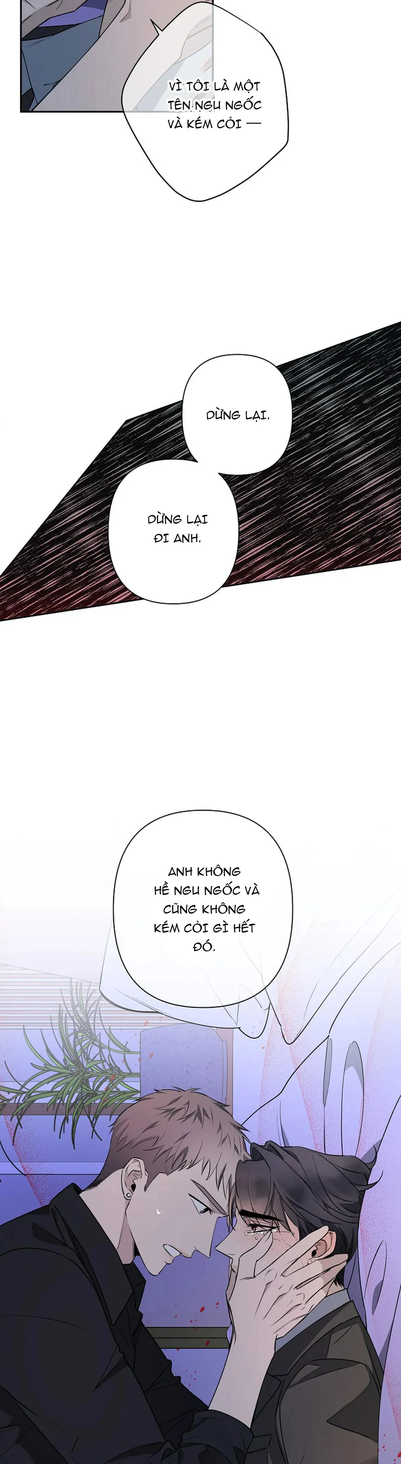 ĐÊM DỊU DÀNG Chapter 38 Trang 17