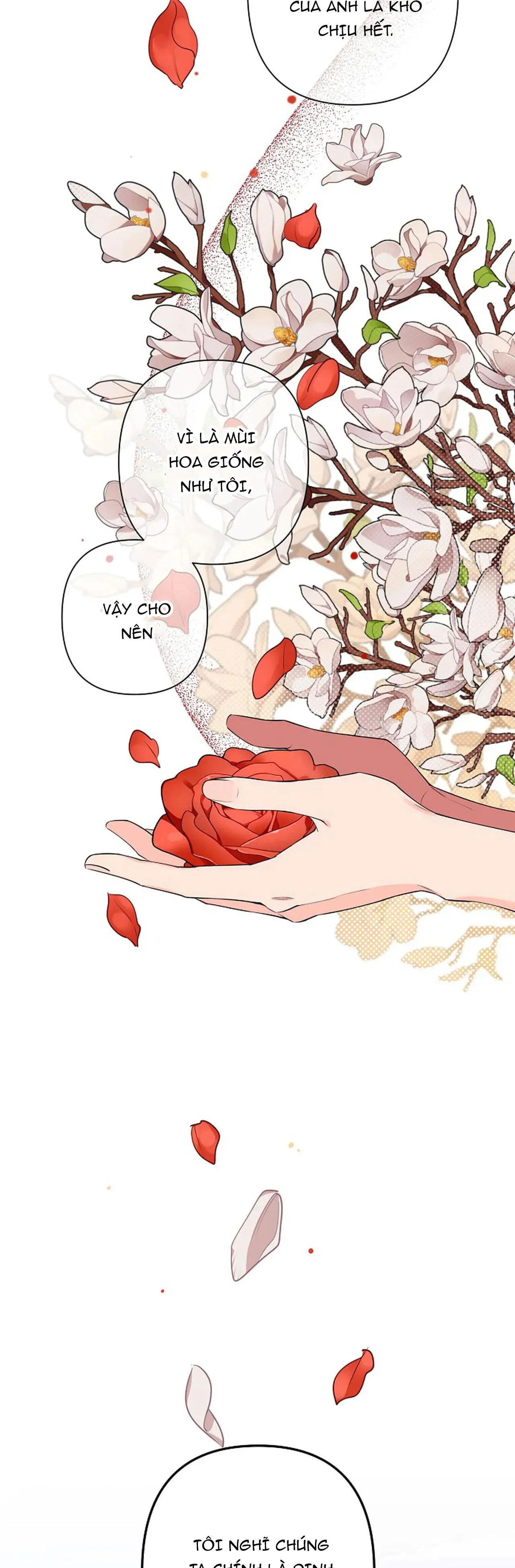 ĐÊM DỊU DÀNG Chapter 38 Trang 24