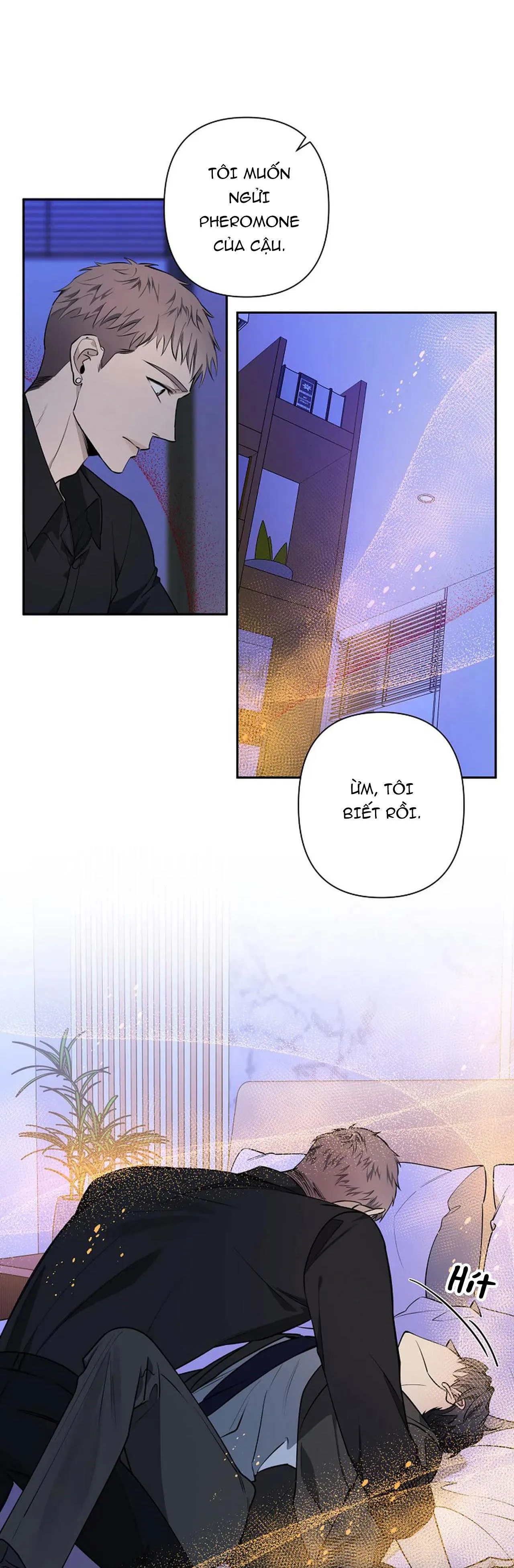 ĐÊM DỊU DÀNG Chapter 38 Trang 34