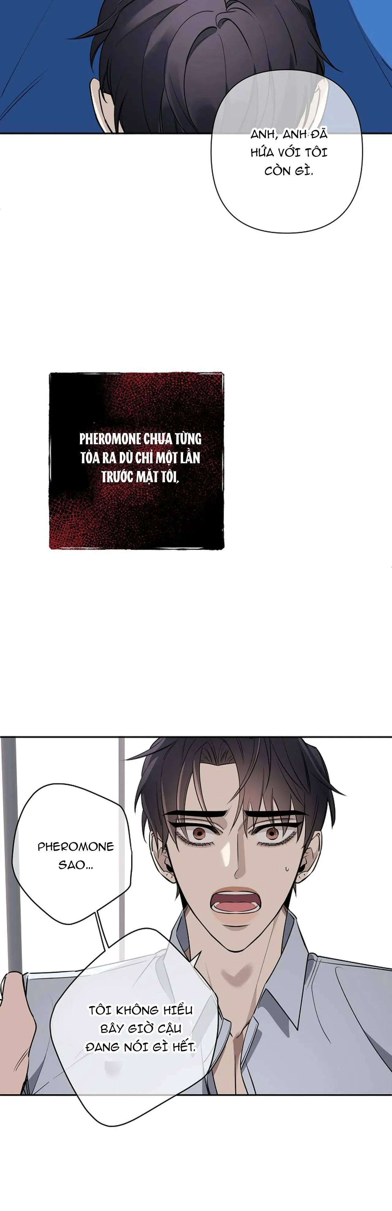 ĐÊM DỊU DÀNG Chapter 39 Trang 36