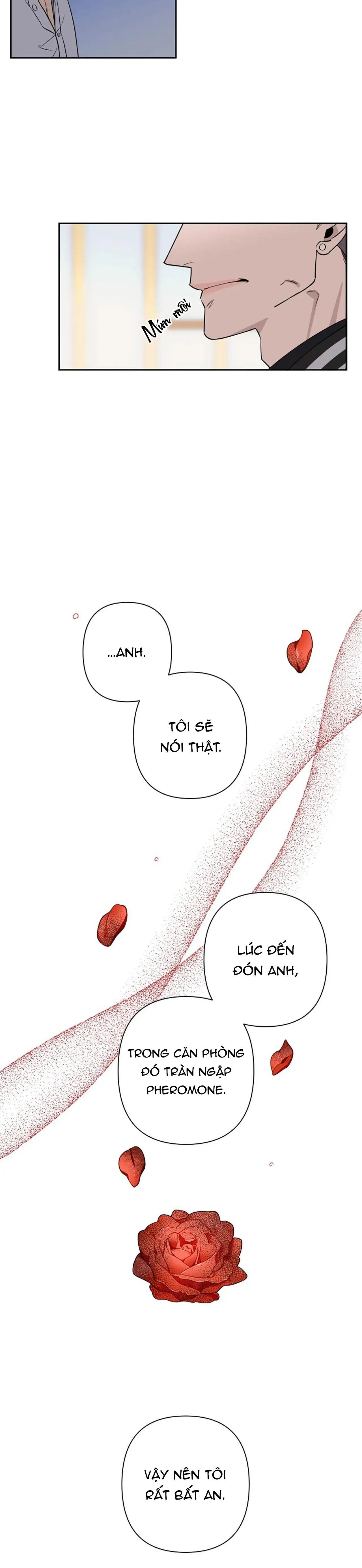 ĐÊM DỊU DÀNG Chapter 40 Trang 9