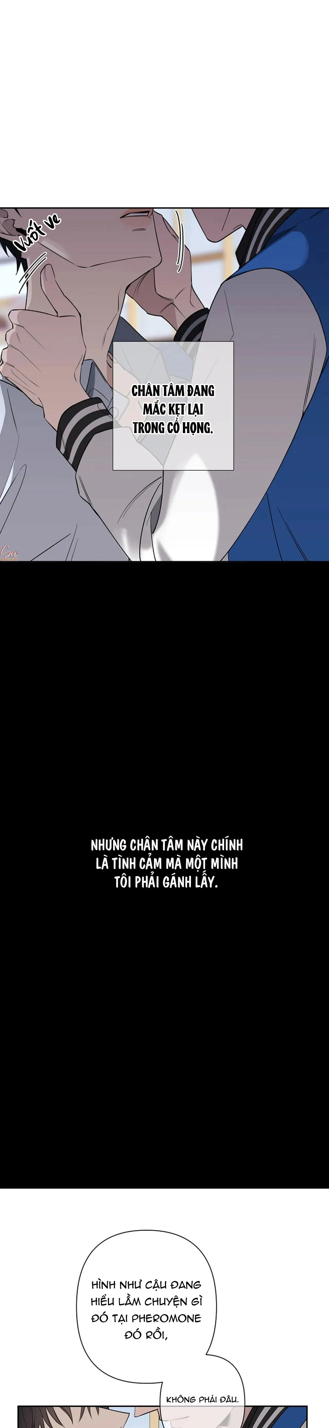 ĐÊM DỊU DÀNG Chapter 40 Trang 11