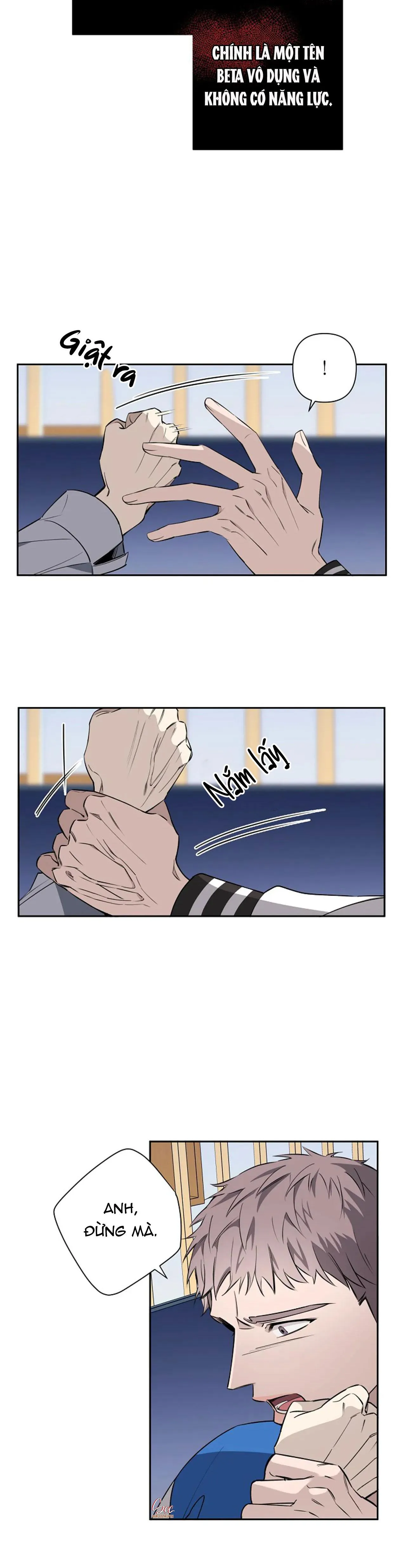 ĐÊM DỊU DÀNG Chapter 40 Trang 24