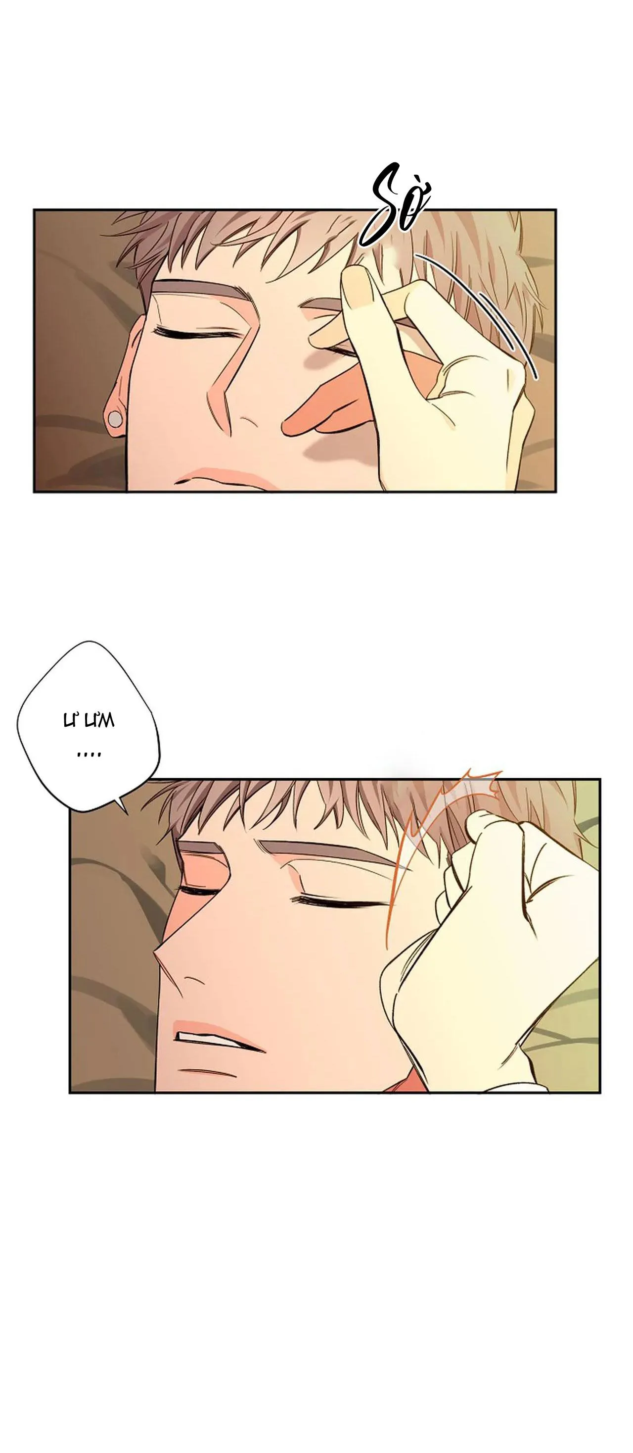 ĐÊM DỊU DÀNG Chapter 45 Trang 10