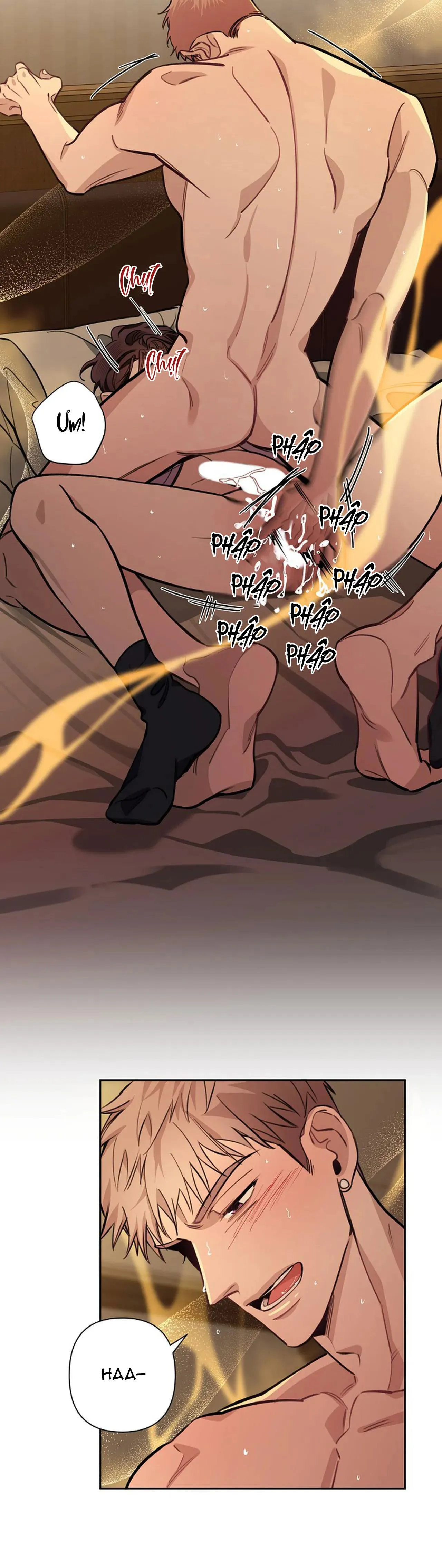 ĐÊM DỊU DÀNG Chapter 49 Trang 14