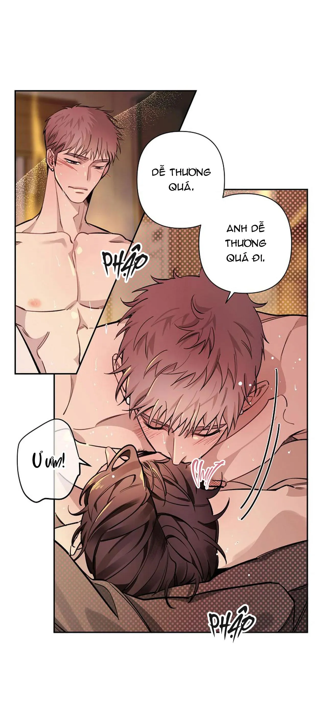 ĐÊM DỊU DÀNG Chapter 50 Trang 5