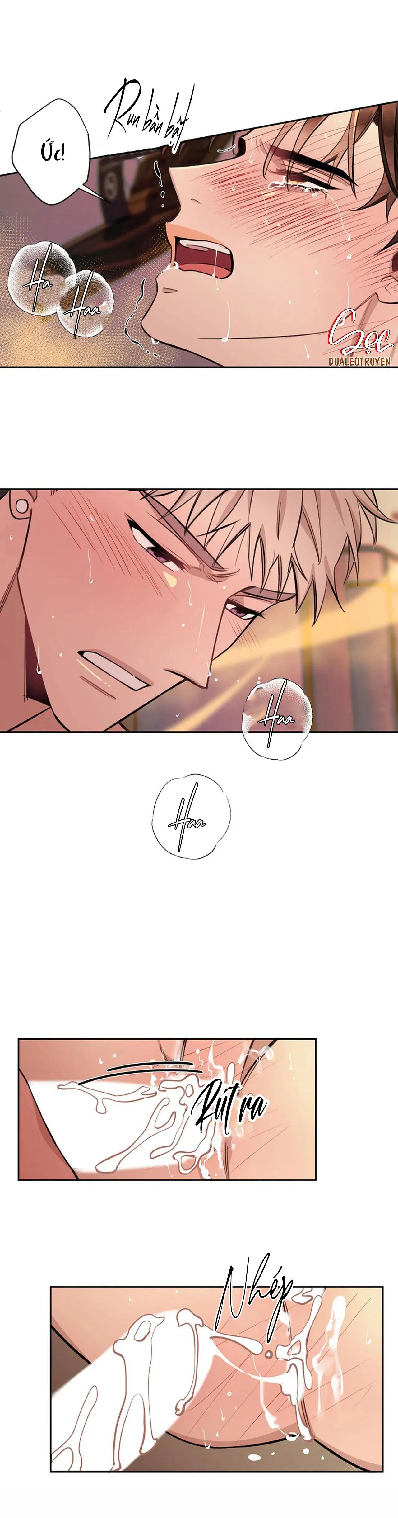 ĐÊM DỊU DÀNG Chapter 50 Trang 18