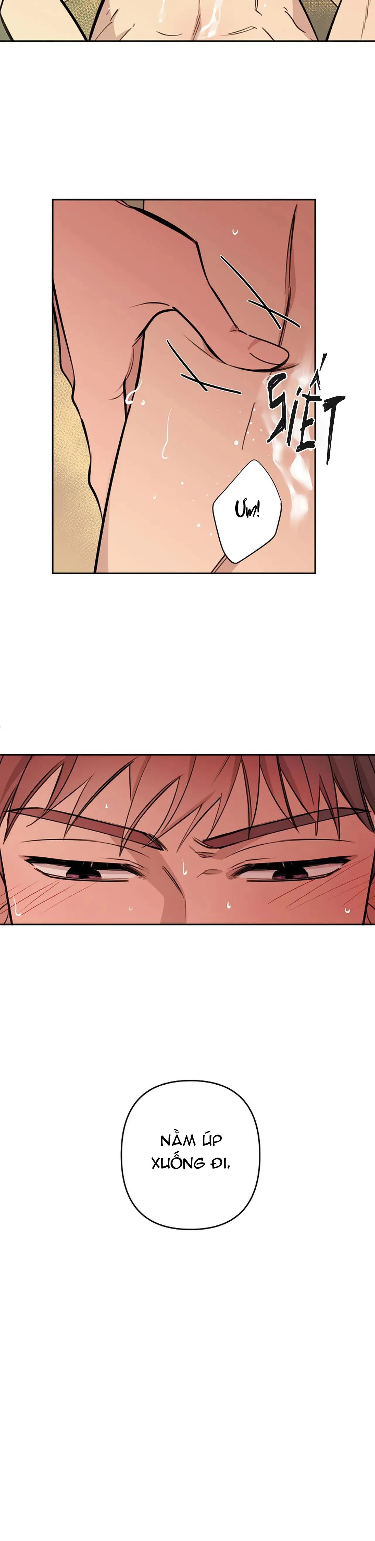 ĐÊM DỊU DÀNG Chapter 50 Trang 20