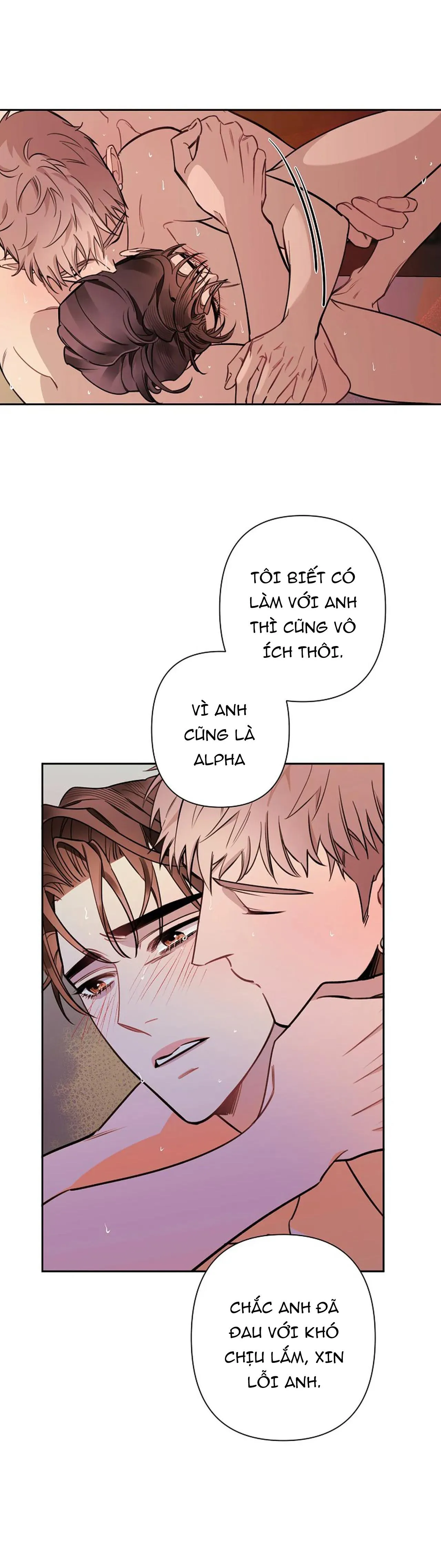 ĐÊM DỊU DÀNG Chapter 51 Trang 7