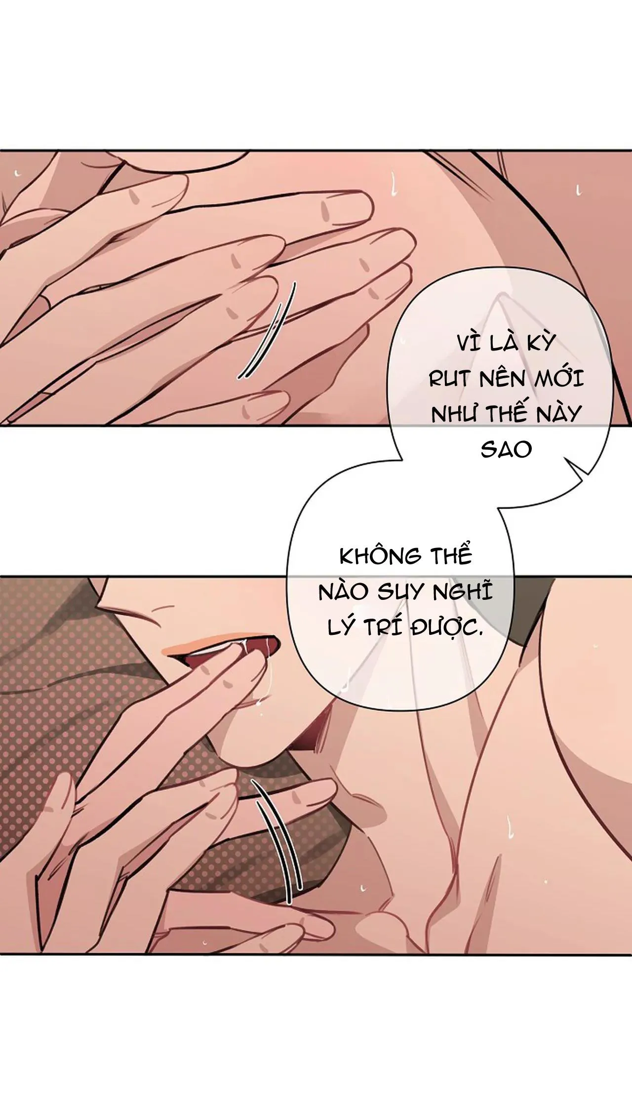 ĐÊM DỊU DÀNG Chapter 51 Trang 11