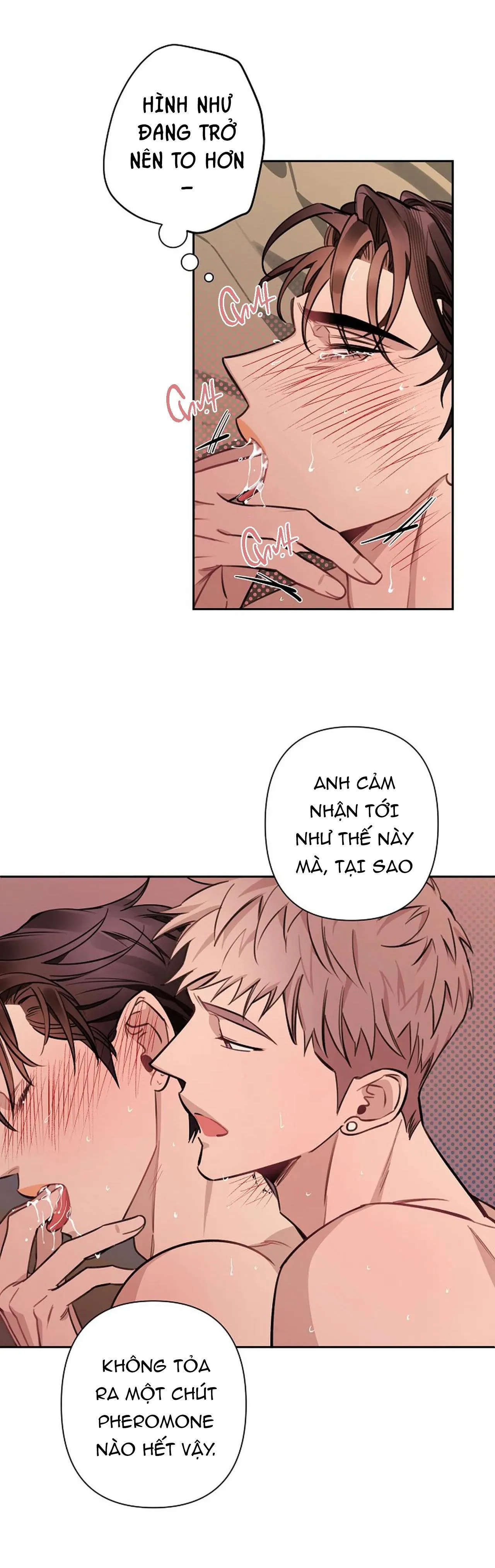 ĐÊM DỊU DÀNG Chapter 51 Trang 15