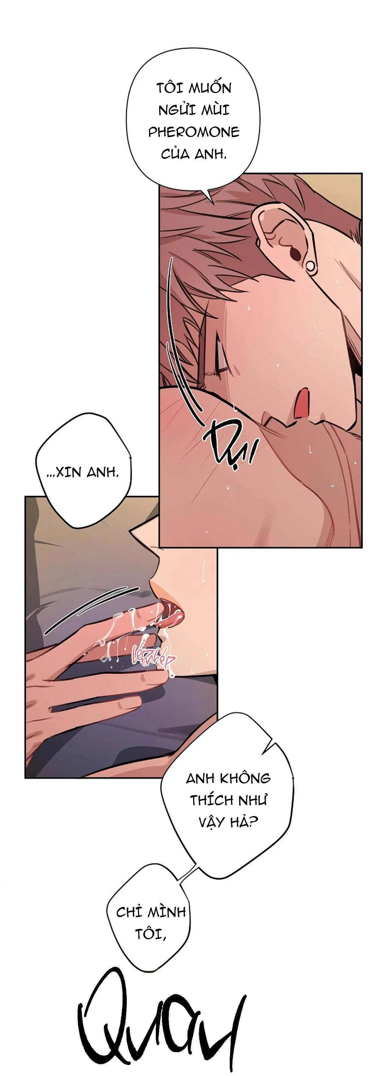 ĐÊM DỊU DÀNG Chapter 51 Trang 16