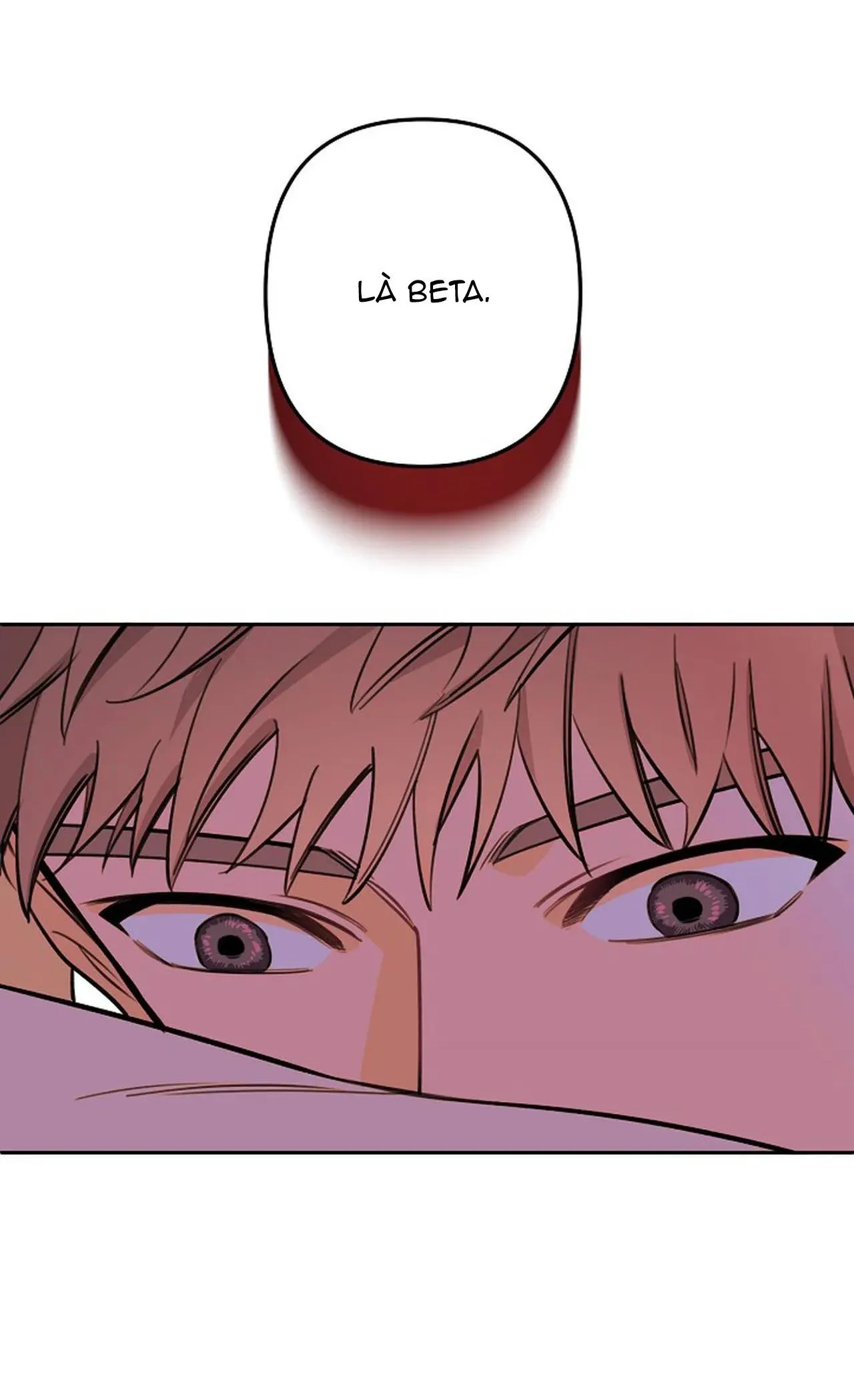 ĐÊM DỊU DÀNG Chapter 51 Trang 24