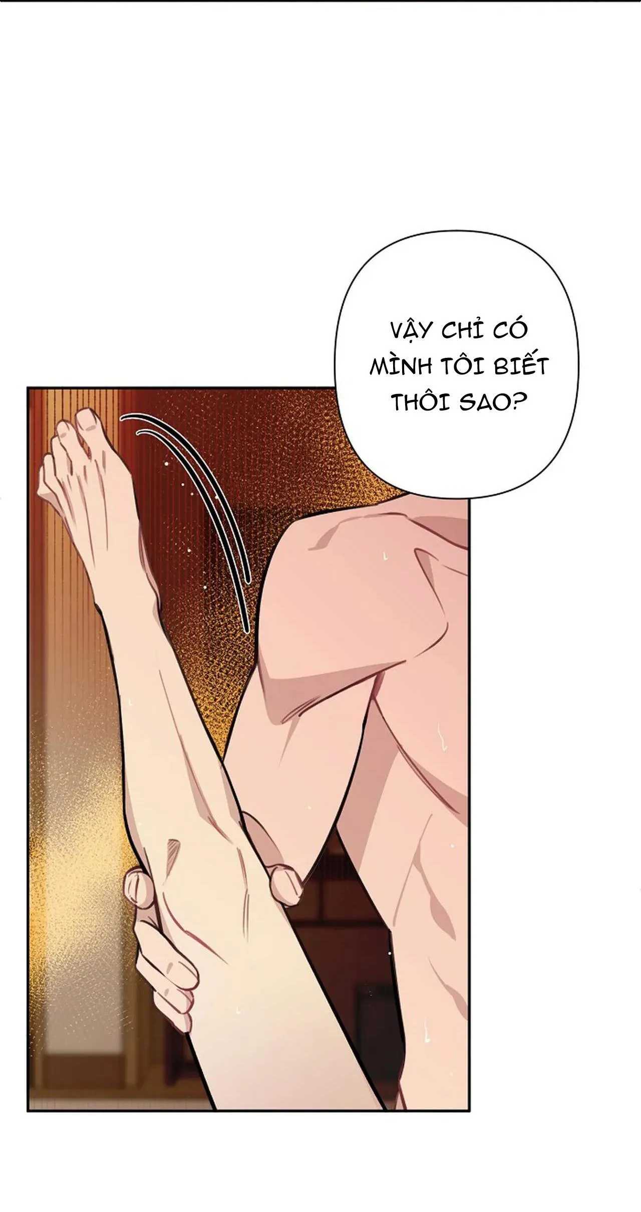 ĐÊM DỊU DÀNG Chapter 51 Trang 31